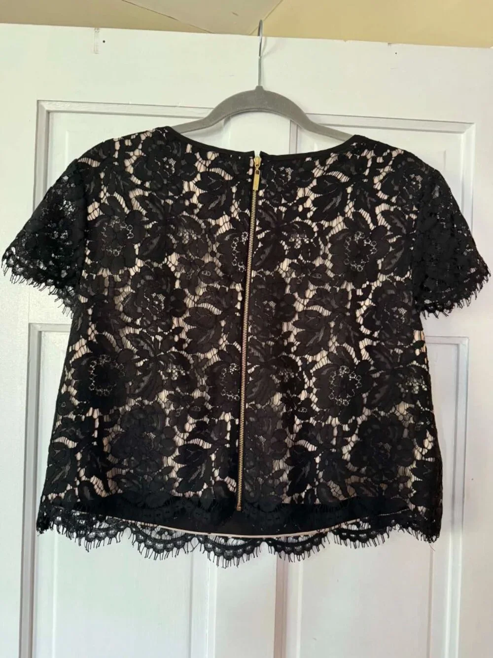 Size 14: Formal Eliza J black lace cropped top
